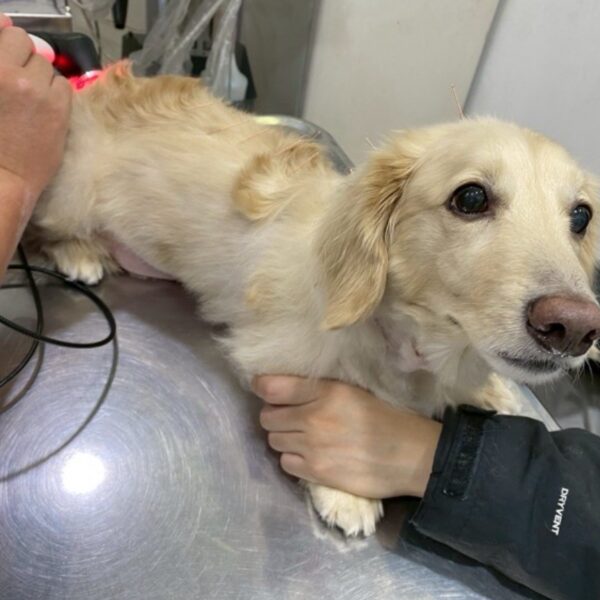 line album 好像會有用的照片 260415 3