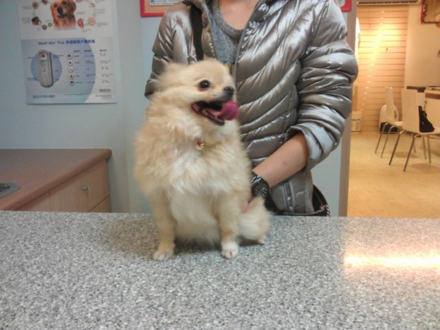 中醫治療異位性皮膚炎的成效7